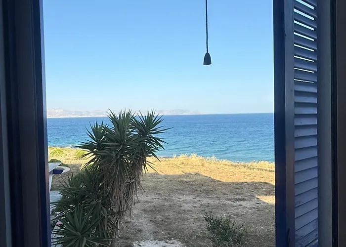 Coral Nest * Logaras