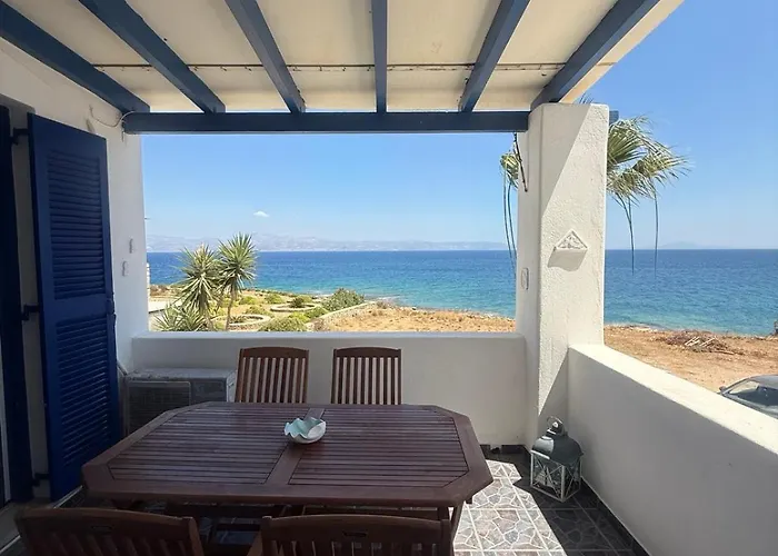 Coral Nest * Logaras